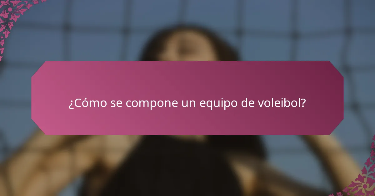 ¿Cómo se compone un equipo de voleibol?